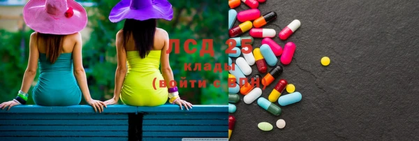 дживик Кулебаки