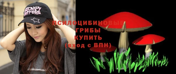 эйфоретик Кукмор