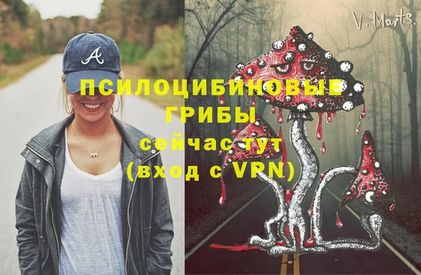 дживик Кулебаки